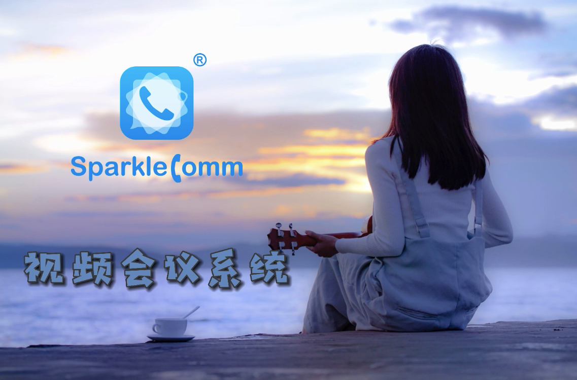 SparkleComm视频会议对企业文化的影响